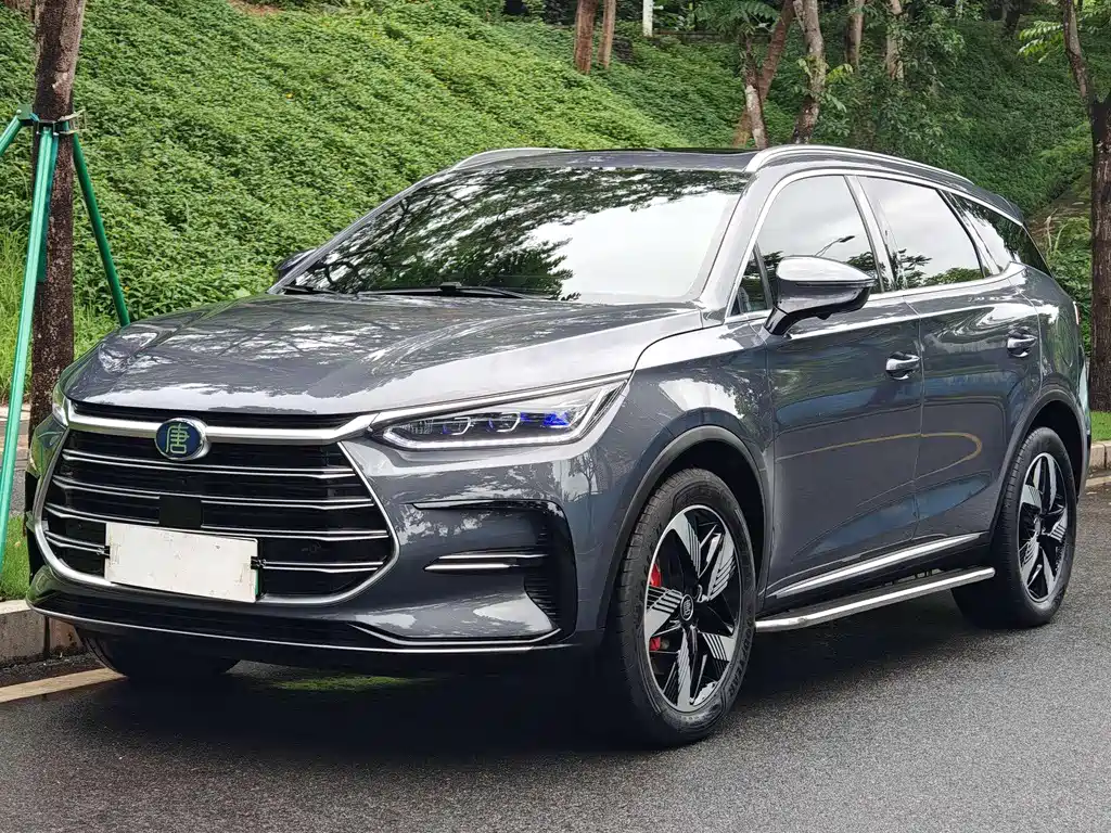 BYD Tang New Energy 2023 — фото 1