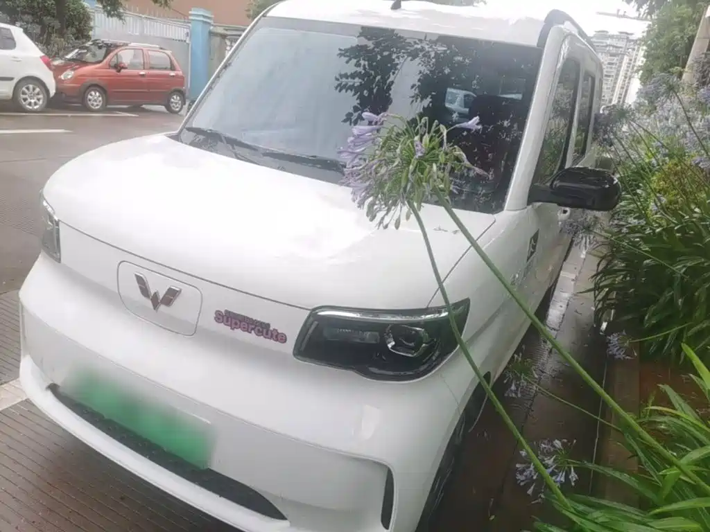 Wuling Zhiguang New Energy 2025