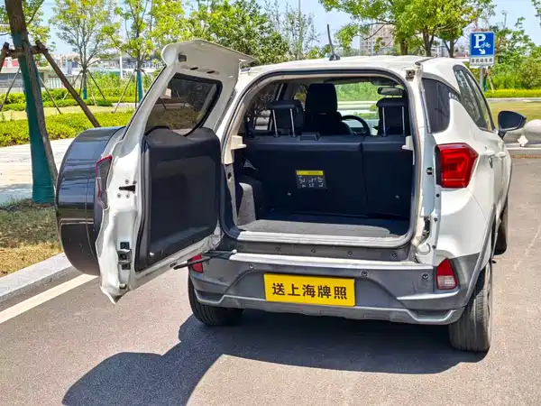 BYD Yuan New Energy 2020