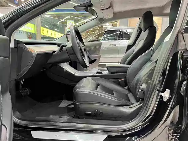 Tesla Model 3 2019