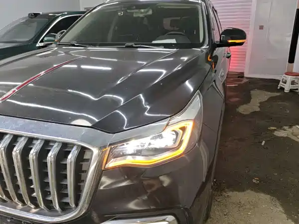 Hongqi HS7 2021