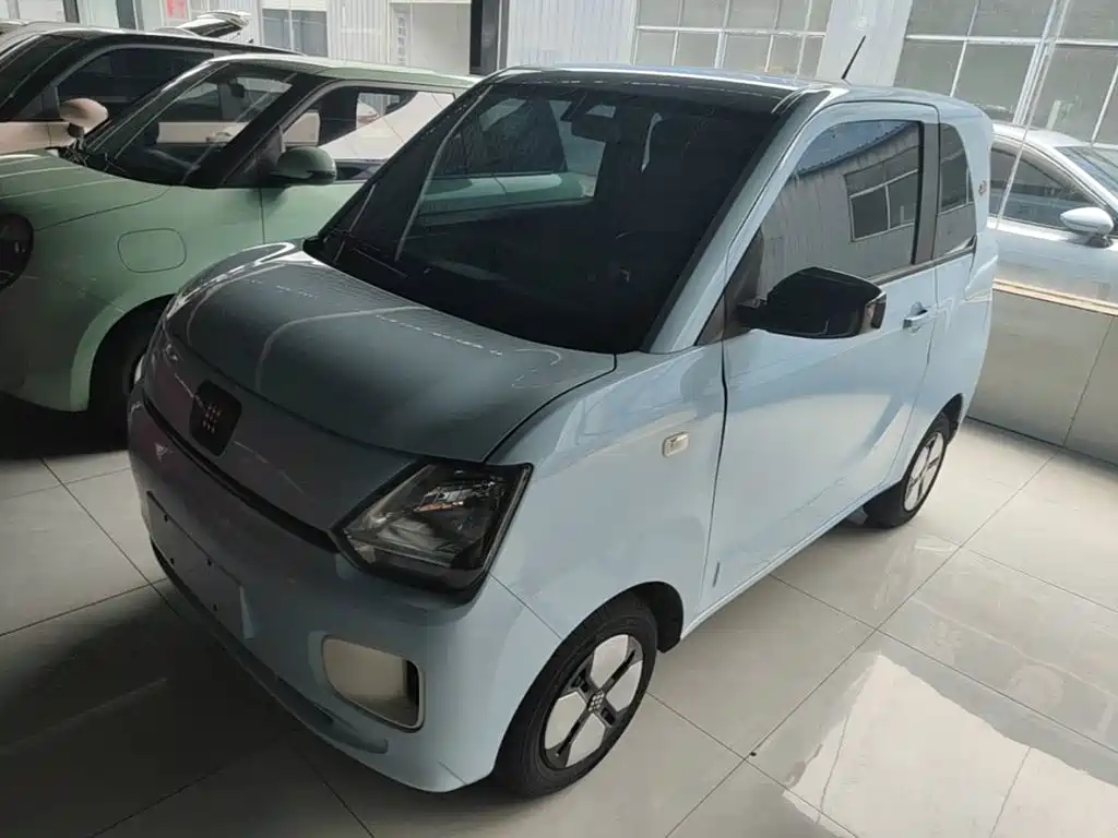 Fengguang MINIEV 2024
