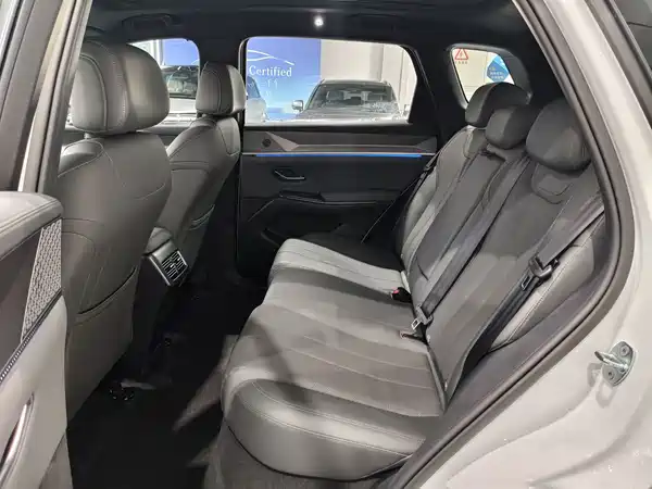 BYD Song Pro New Energy 2025