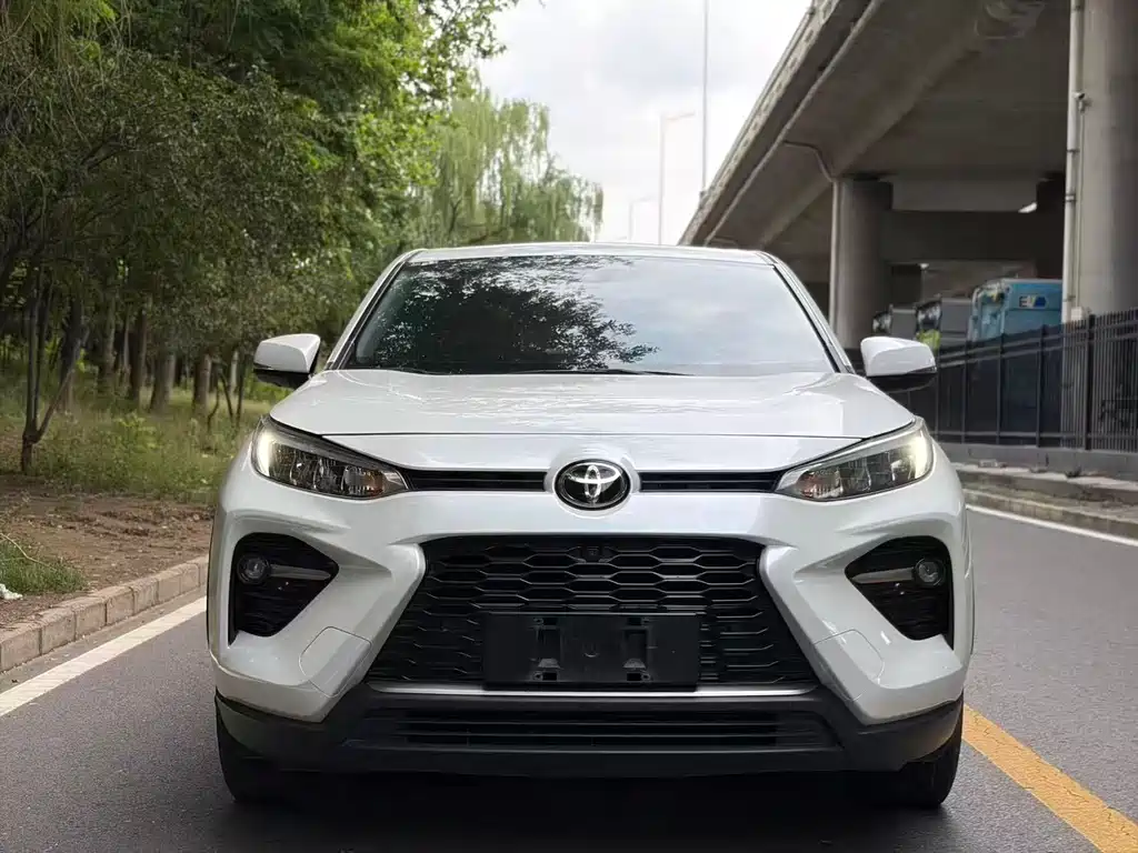 Toyota Wildlander 2022