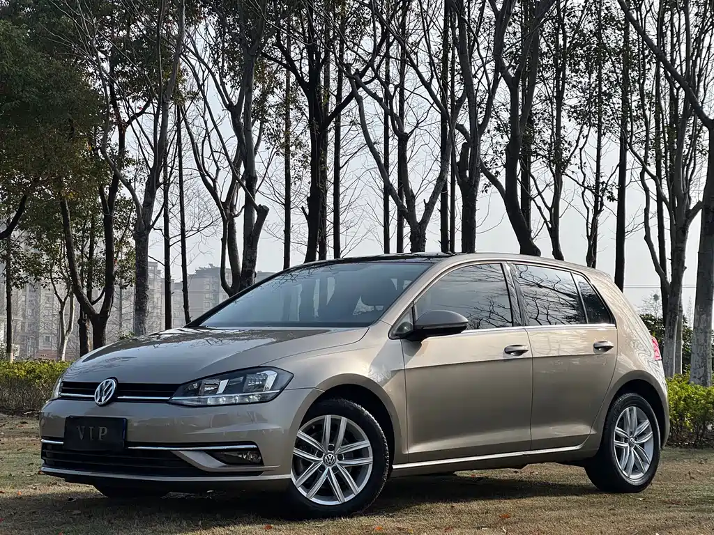 Volkswagen Golf 2019 — фото 10
