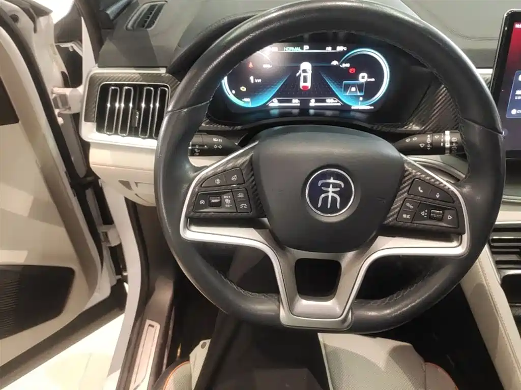 BYD PLUS New Energy 2022 — фото 11