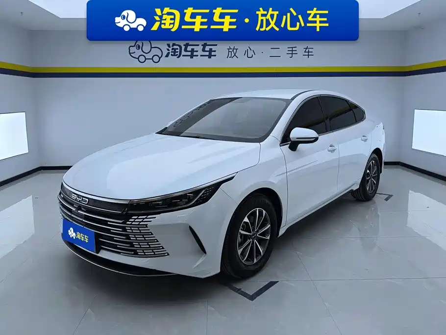 BYD Destroyer 05 2024 — фото 1