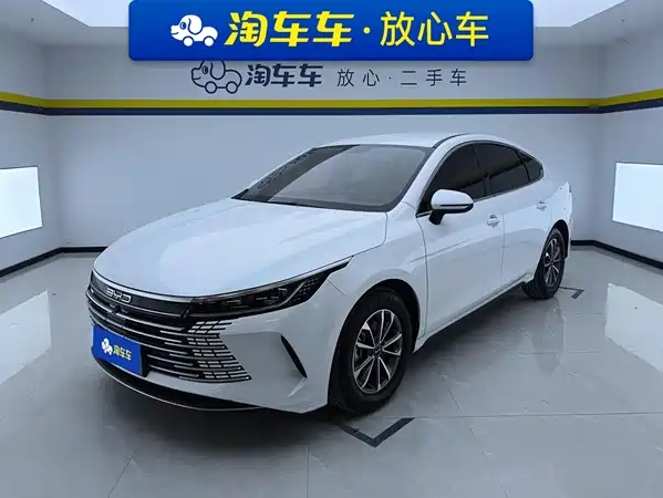 BYD Destroyer 05 2024