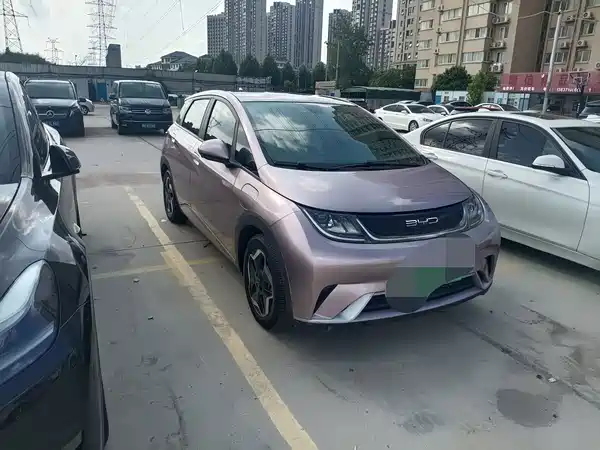 BYD Dolphin 2022