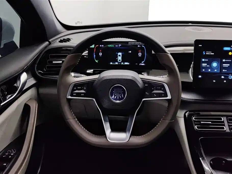 BYD Qin PLUS 2025 — фото 15