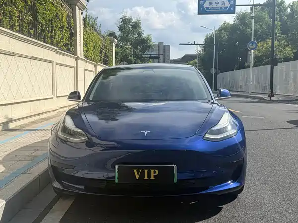 Tesla Model 3 2020