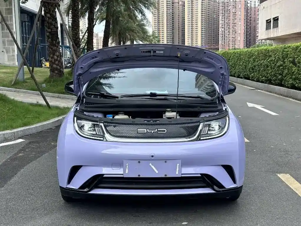 BYD Dolphin 2023 — фото 15
