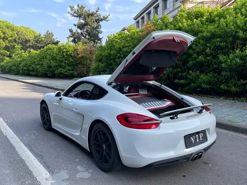 Porsche Cayman 2015 — фото 29
