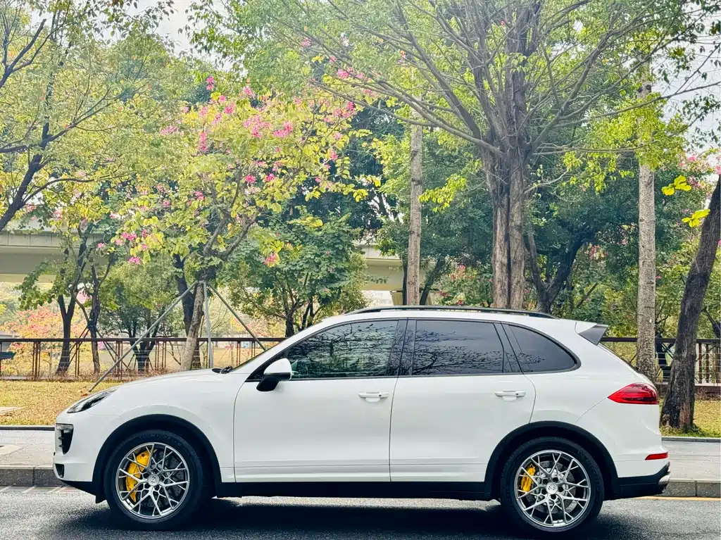 Porsche Cayenne 2015 — фото 12
