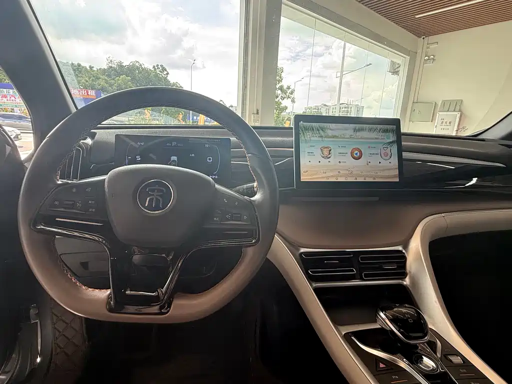 BYD Song Pro New Energy 2023 — фото 7