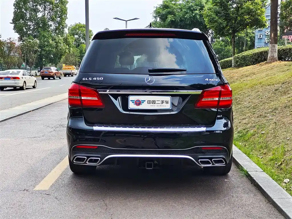 Mercedes-Benz GLS 2018 — фото 5