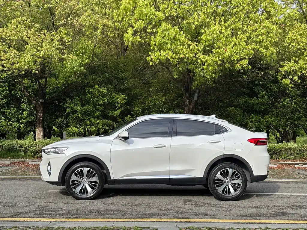 Haval F7x 2020 — фото 4
