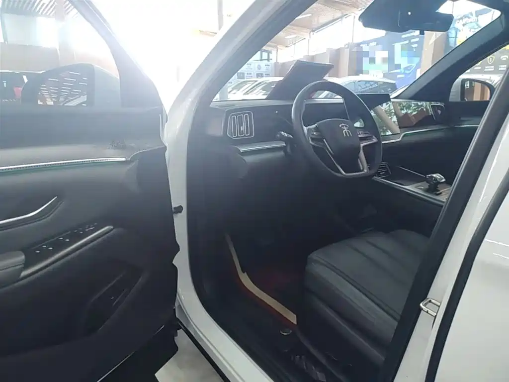 BYD Pro New Energy 2025 — фото 16