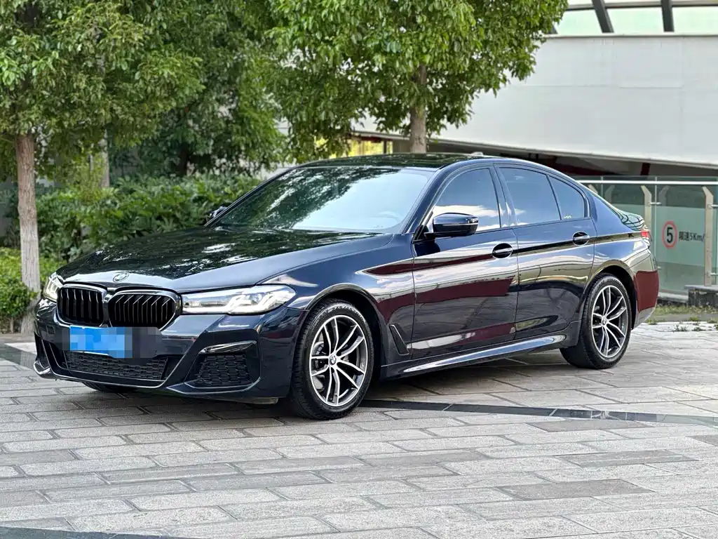 BMW 5 Series 2021