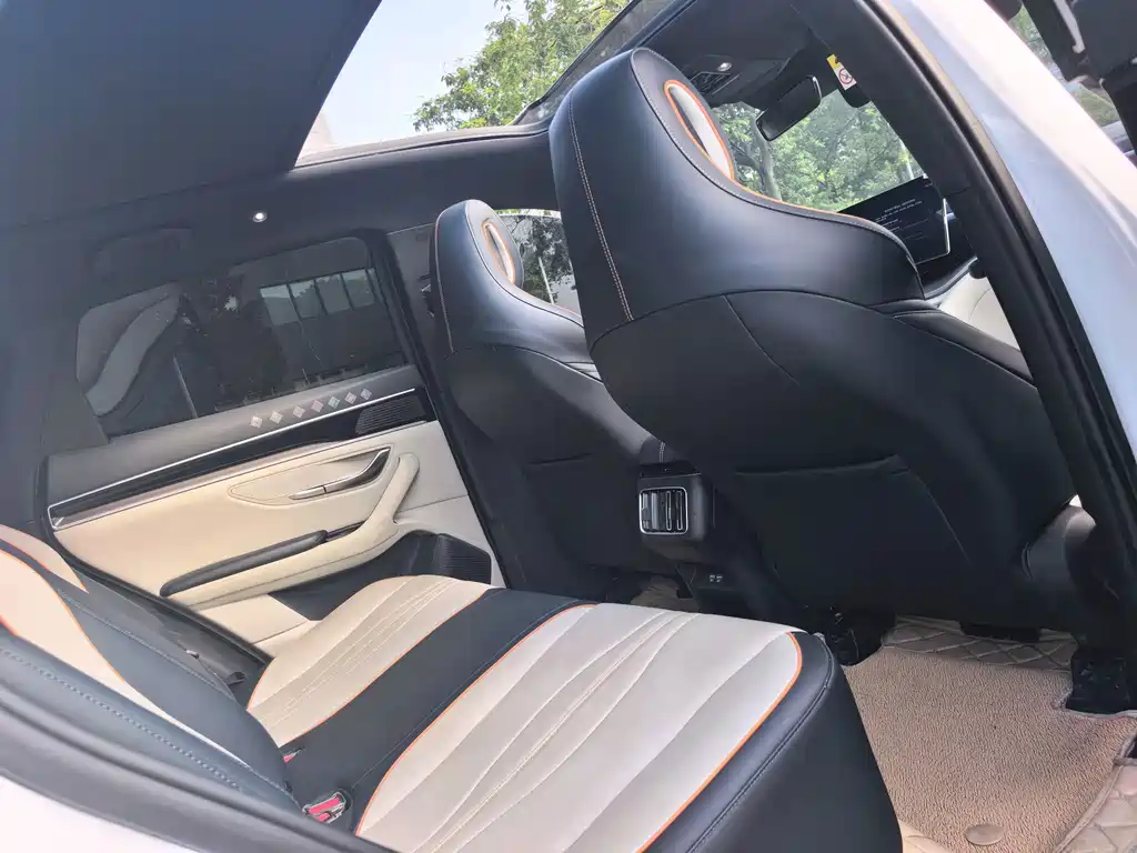 BYD Song PLUS New Energy 2022 — фото 12