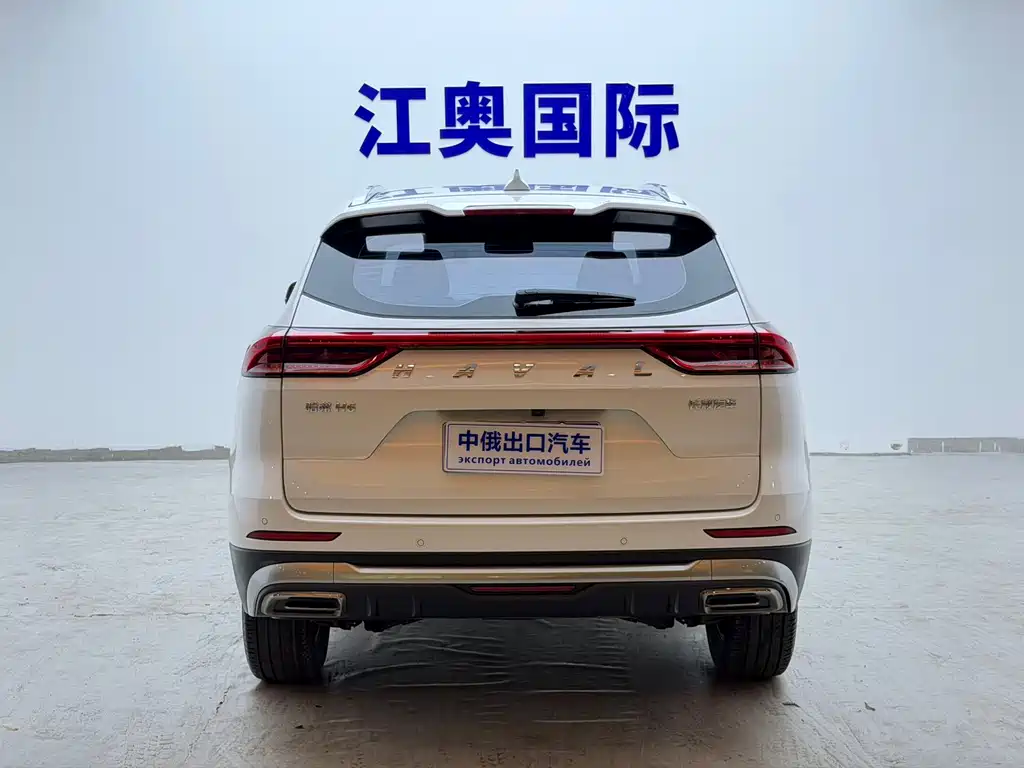 Haval H6 2023 — фото 18