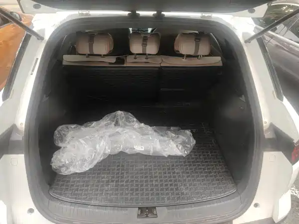 BYD Song Pro New Energy 2024