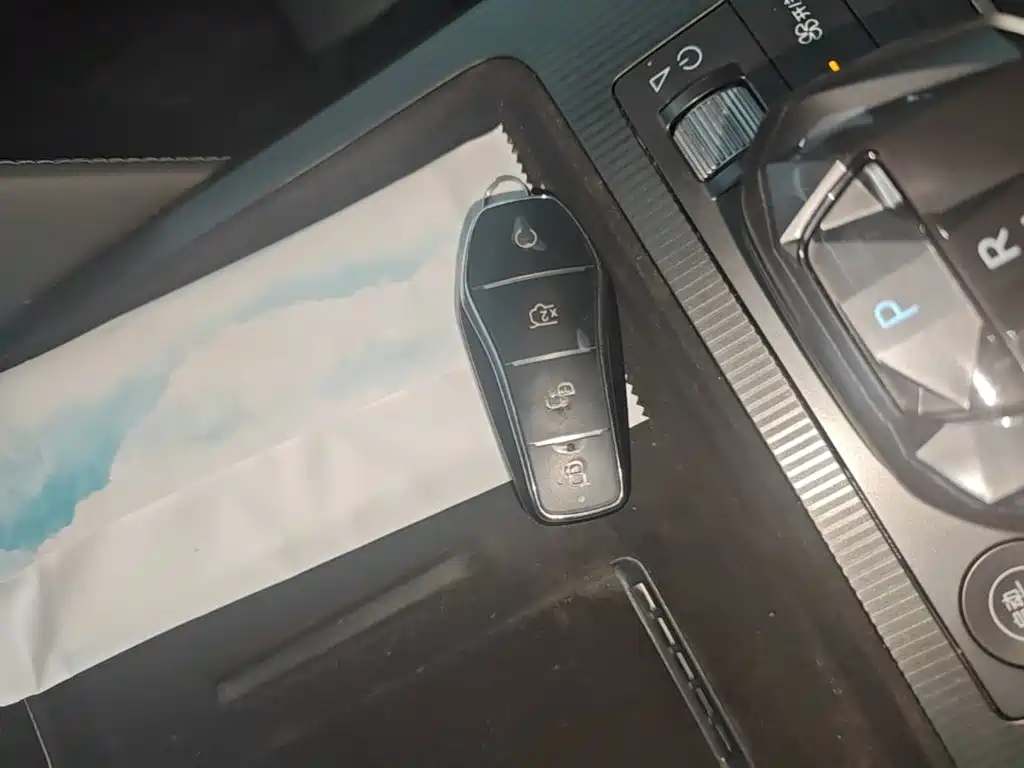 BYD Song L DM-i 2025 — фото 9