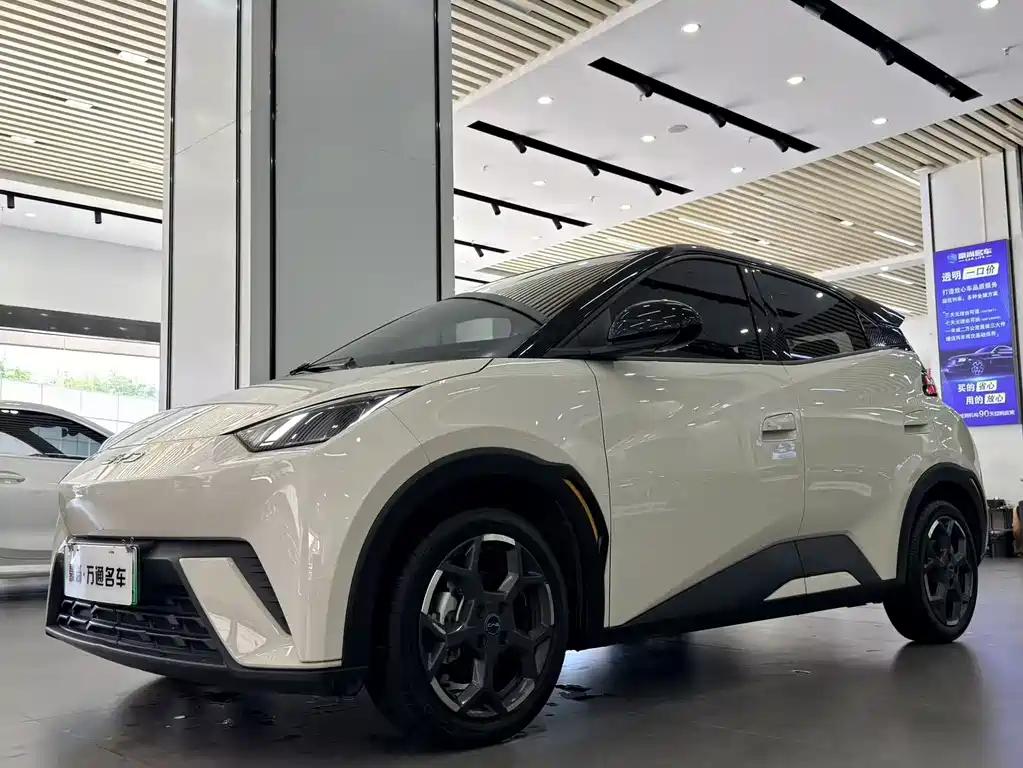 BYD Seagull 2024