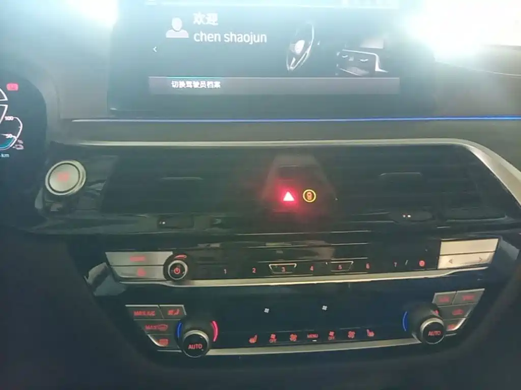BMW 5 Series New Energy 2020 — фото 13