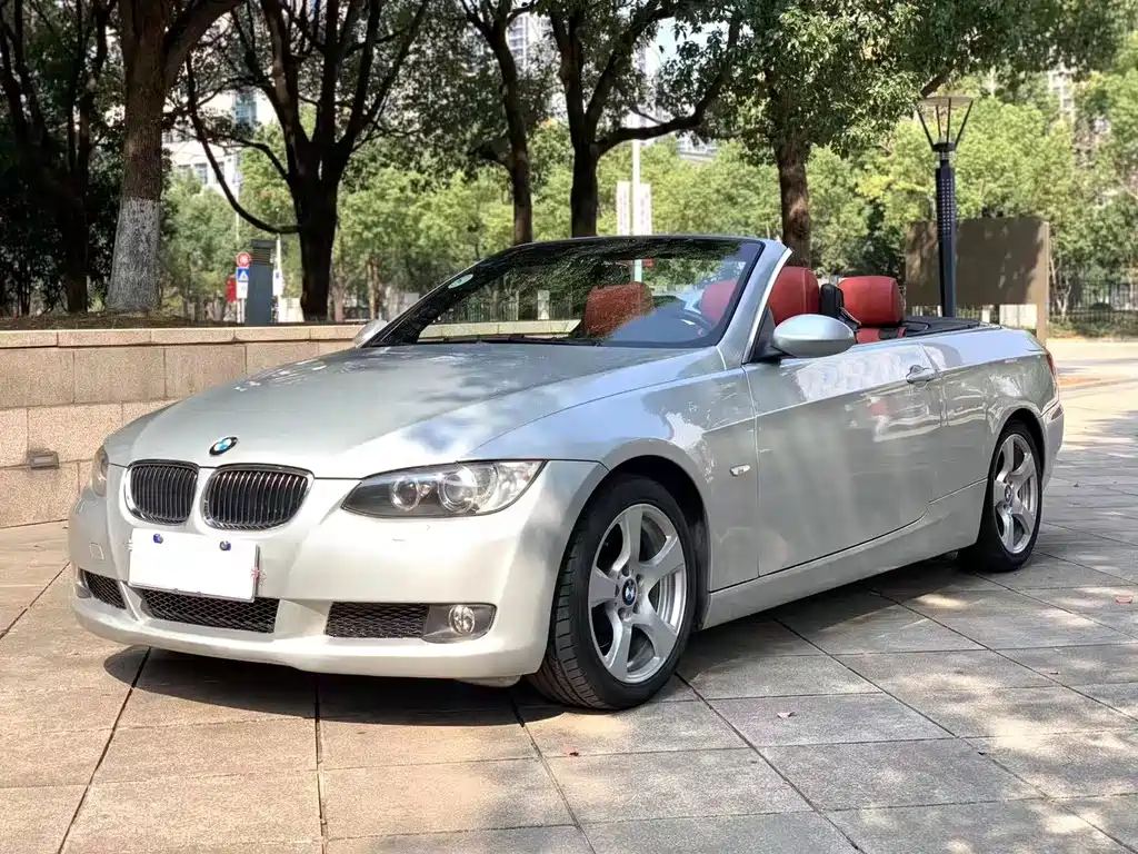 BMW 3 Series 2010