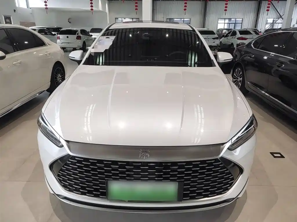 BYD Qin PLUS 2021 — фото 3