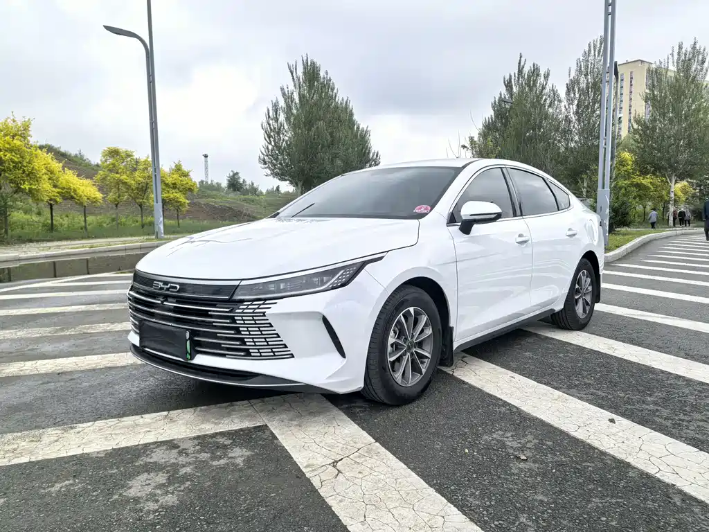 BYD Destroyer 05 2024 — фото 1
