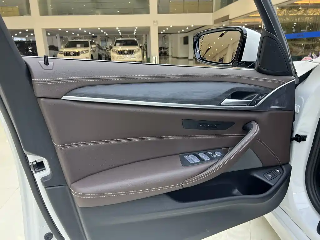 BMW 5 Series New Energy 2022