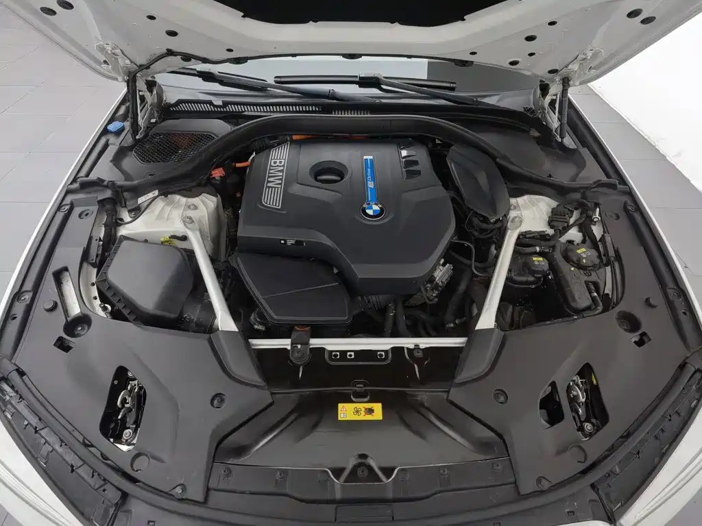 BMW 5 Series New Energy 2020