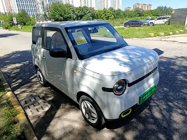 Geely Galaxy Panda 2026