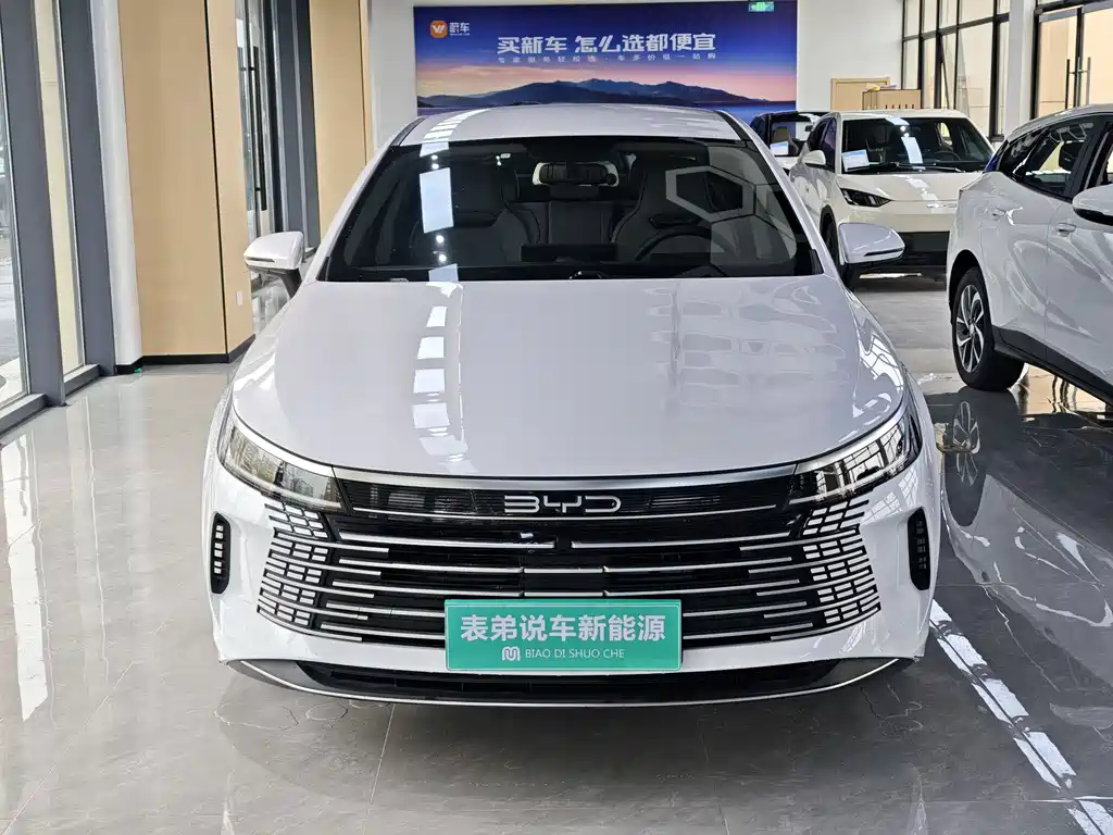 BYD Destroyer 05 2024 — фото 2