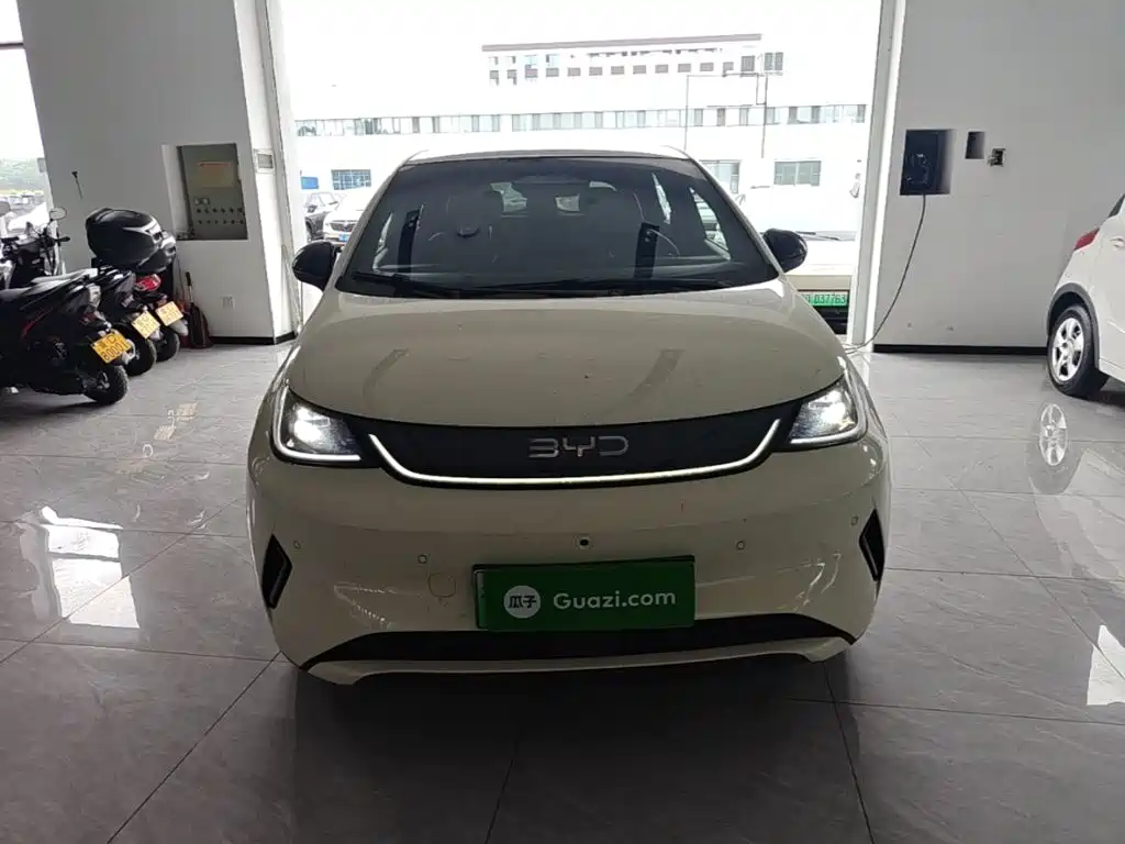 BYD Dolphin 2025