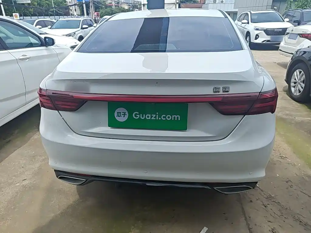Geely Binrui 2021