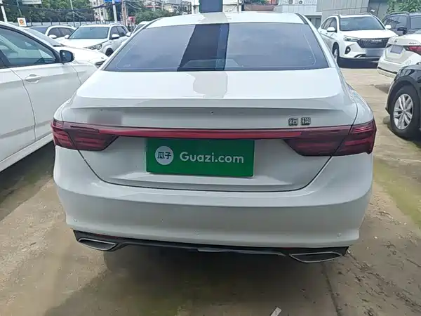 Geely Binrui 2021