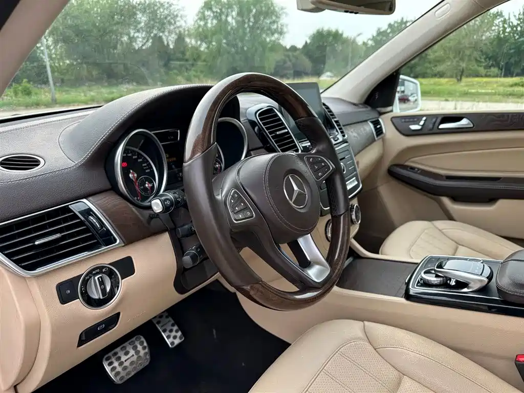 Mercedes-Benz GLS 2018 — фото 14