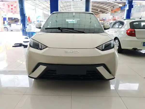 BYD Seagull 2024