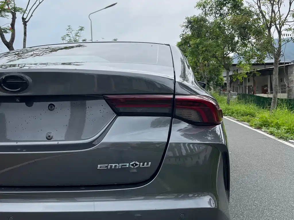 GAC Motor Shadow Leopard 2022 — фото 16