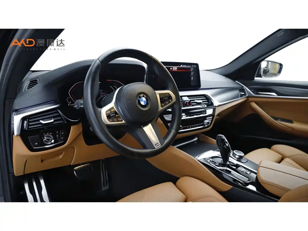 BMW 5 Series 2022