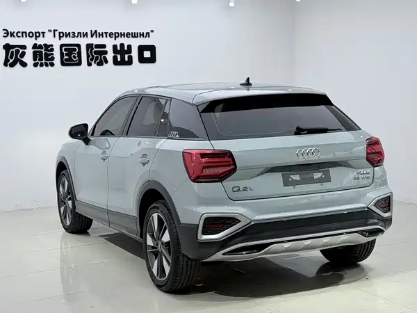 Audi Q2L 2022