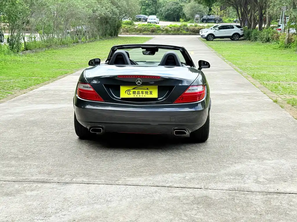 Mercedes-Benz SLK-Class 2014 — фото 5