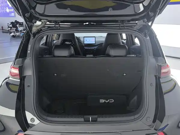 BYD Seagull 2024