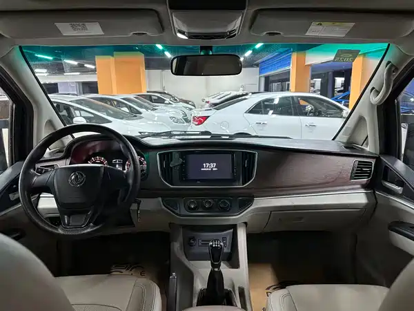 Dongfeng Lingzhi 2018
