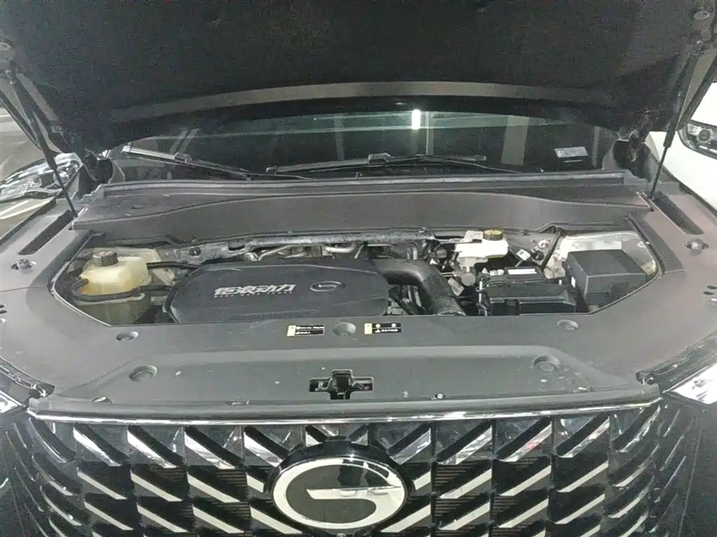 GAC Motor Trumpchi GS8 2023 — фото 20