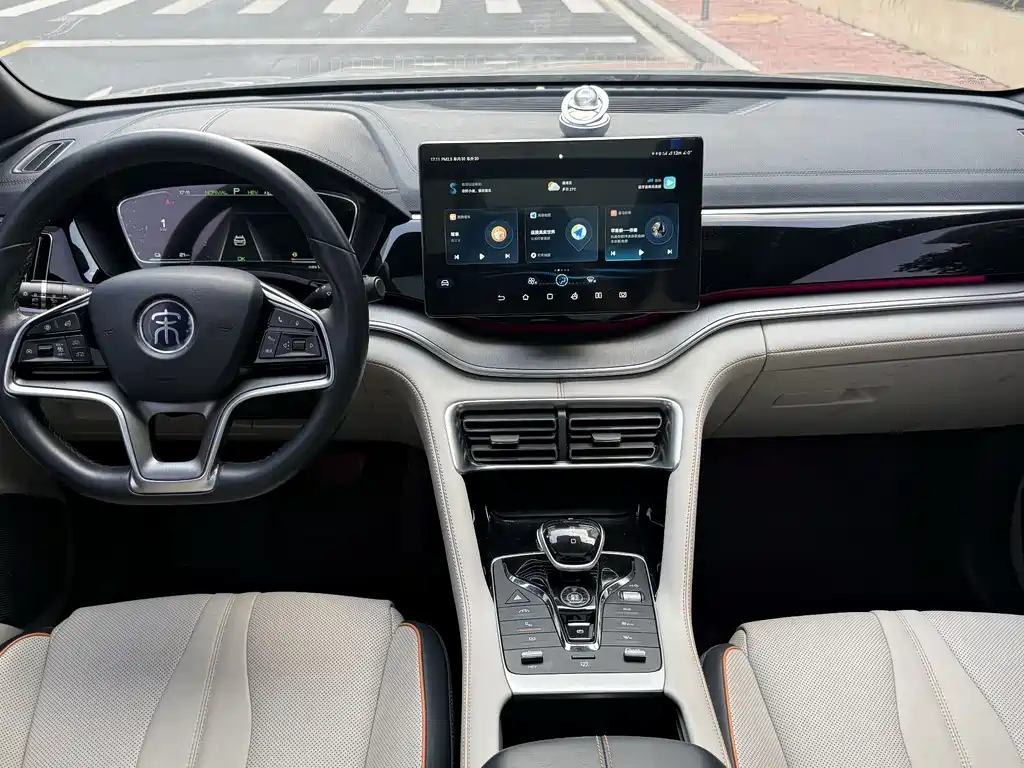 BYD PLUS New Energy 2022 — фото 15