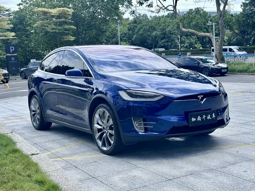 Tesla Model X 2016 — фото 5